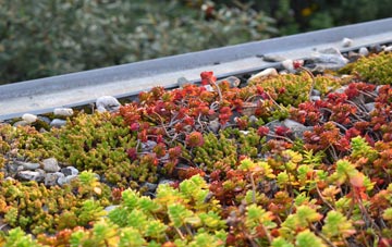 the cost of Barrow Hill green roof installation